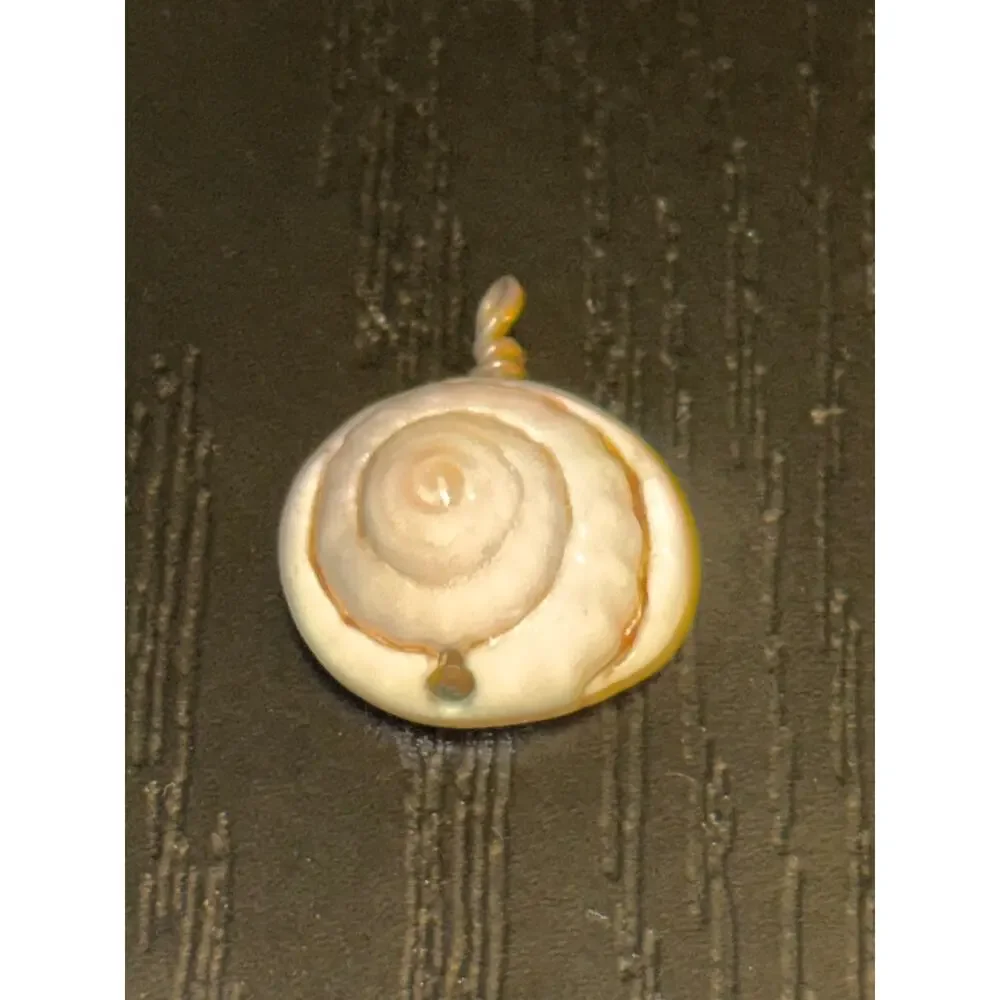 Natural Shiva Shell Spiral Pendant Wire Wrapped